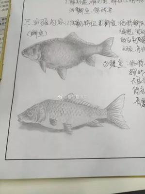 老驥都不伏櫪,就服你